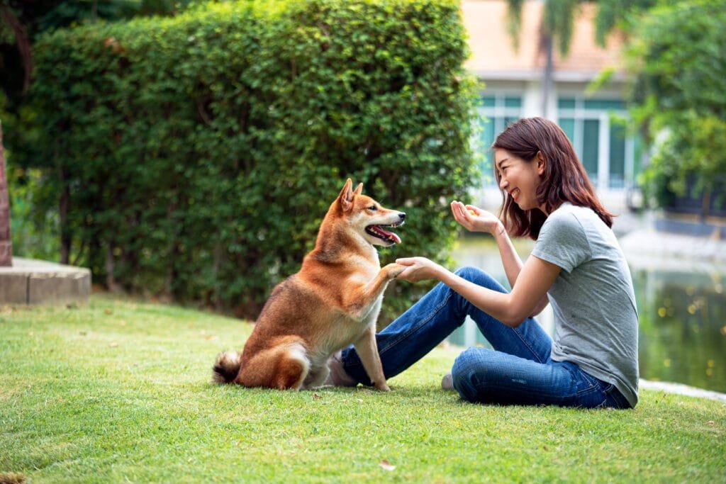 a woman training her dog